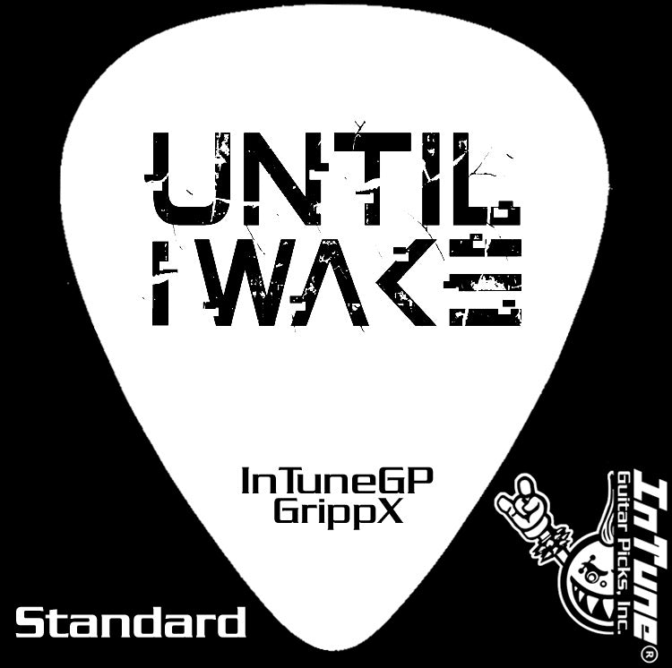(NEW) Custom Guitar Pick!